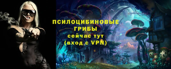 дурь Богородск
